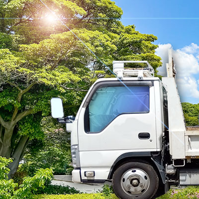 解体かんたんシュミレーション 樹木